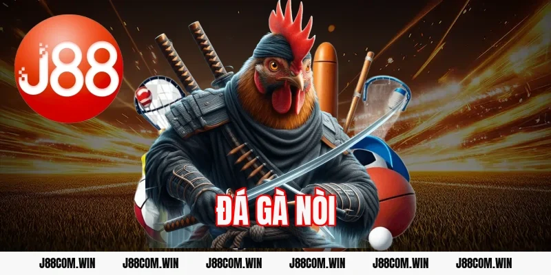 Đá gà nòi nhà cái – Luật chơi và kinh nghiệm chọn gà